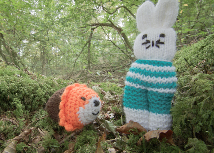 Little Lion what you doing?